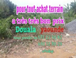 Achat de terrain à douala et Yaounde